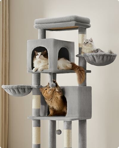 Drei Katzen auf einem Kratzbaum