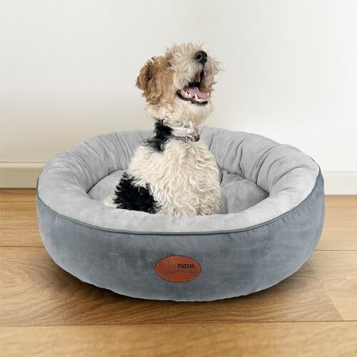 Hund sitzt glücklich in einem grauen Hundebett.