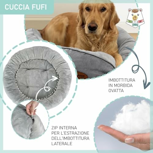 Hund auf weichem grauen Bett mit herausnehmbarer Polsterung.