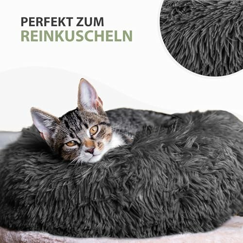 Katze in einem flauschigen, grauen Bett.