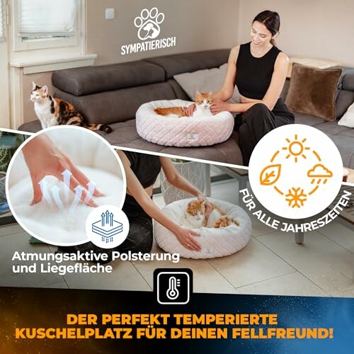 Frau mit Katze in einem gemütlichen Katzenbett