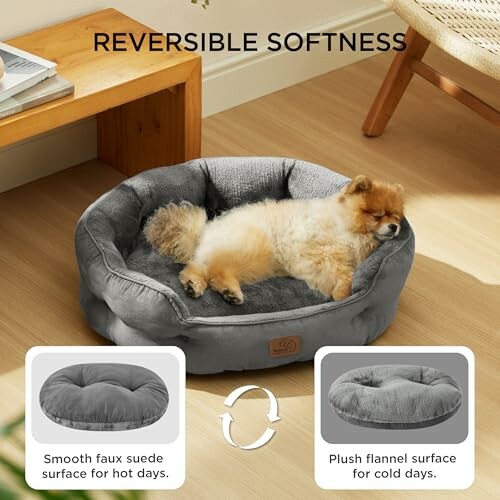 Kleiner Hund schläft in einem weichen, wendbaren Hundebett.